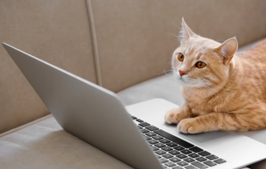 It also does genes!!!