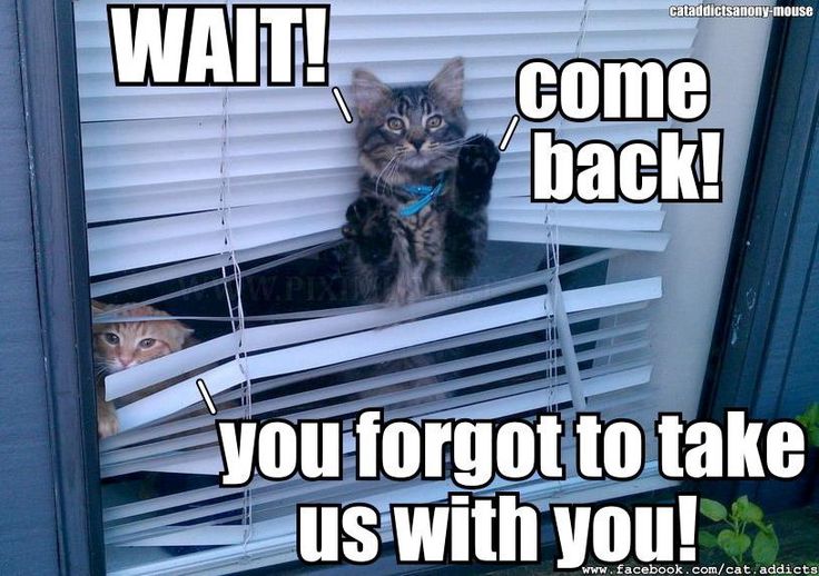 Hope you have a great day ✪ ω ✪